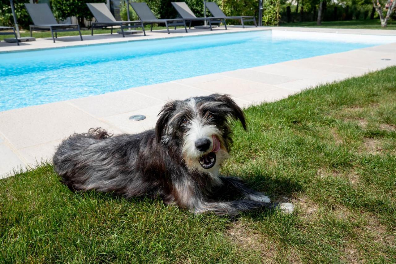 B&B L'Oree Du Bois Bourgogne - Adults Only Saint-Nicolas-lès-Cîteaux Εξωτερικό φωτογραφία